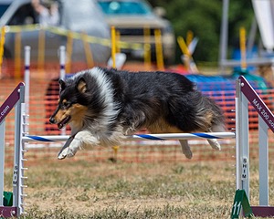 20160619-CCKC-1038.jpg
