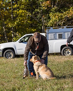 Accolade's Pineapple Princess "Puka"