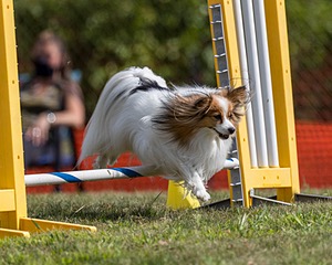 20200819-1052.jpg