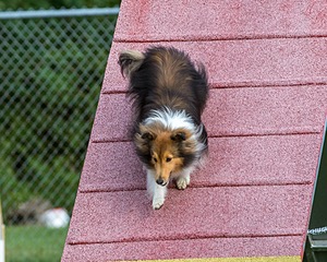 20200819-0128.jpg