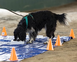 20260718-NSKC-0167.jpg