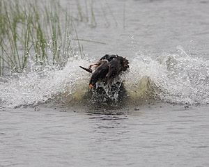 20080531-HRW-1056.jpg