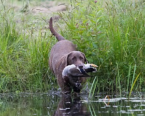 20130713-MHB2-0091.jpg