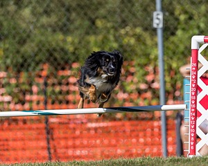 20200819-2592.jpg