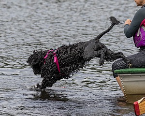 "Mistral" & Tobi-Ann