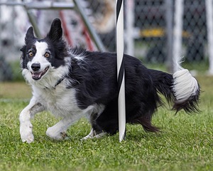 20230917-PVKC-2746.jpg
