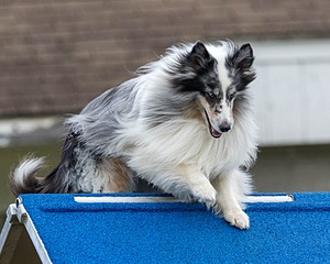 20230917-PVKC-2969.jpg