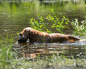 20130714-MHB2-0052.jpg