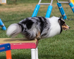 20200819-0324.jpg