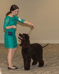 20190514-TEN-0103.jpg