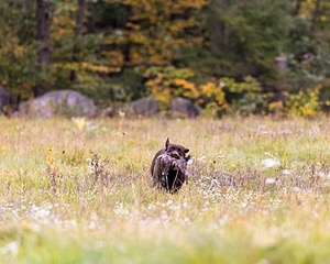 20211010-WCL-0779.jpg