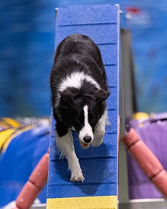 20260221-0630.jpg