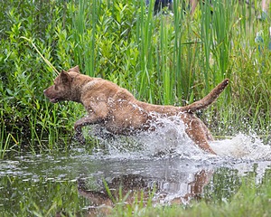 20130713-MHB2-0117.jpg