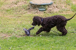 20190512-BD-0066.jpg