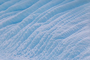20260321-0200.jpg