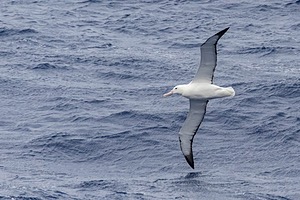 20260323-0016.jpg