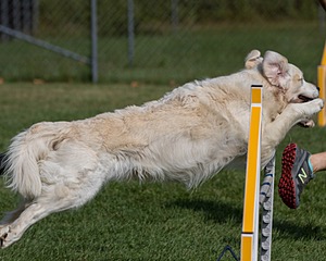 20200819-0740.jpg