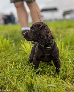 20210725-C-0029.jpg