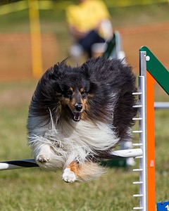 20180616-0288.jpg