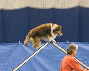 20150321-LEAP-1695.jpg