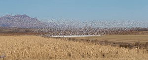 20151206-2241.jpg