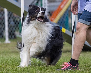 20230917-PVKC-2781.jpg