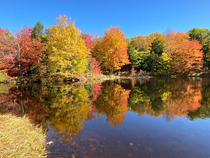 20201011-C-0038.jpg