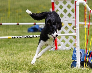 20160515-NEAT-1331.jpg