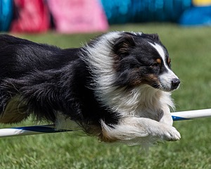 20200819-2207.jpg