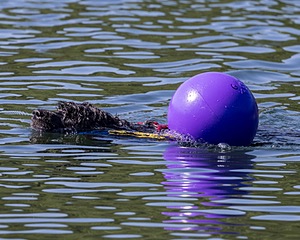 Guido McCracken