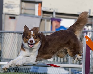 20230916-PVKC-1698.jpg