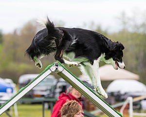 20160515-NEAT-0386.jpg