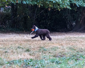 20210827-BD-0177.jpg