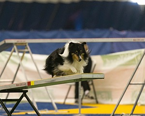 20150321-LEAP-1350.jpg