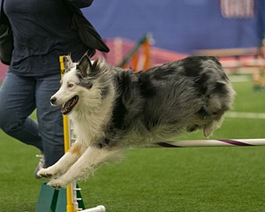 20150321-LEAP-1473.jpg