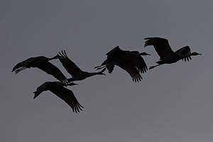 20151205-1290.jpg