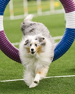 20150322-LEAP-0185.jpg