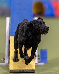 20260221-0904.jpg