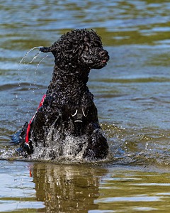 Breeze Holden