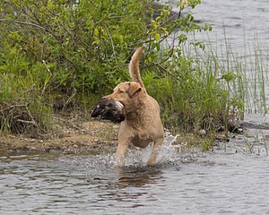 20080531-HRW-0080.jpg