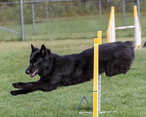 20200819-0416.jpg