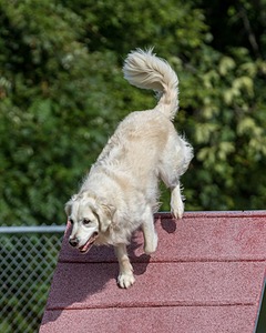 20200819-0733.jpg