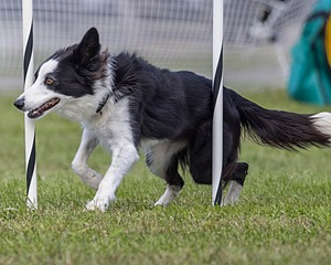 20230917-PVKC-2744.jpg