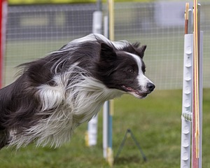 20230916-PVKC-2047.jpg