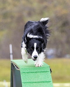20160515-NEAT-1078.jpg