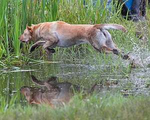 20130713-MHB2-0300.jpg