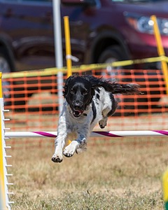 20160619-CCKC-0682.jpg