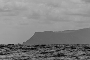 20250621-1684.jpg
