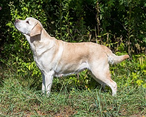 20160924-P-0030.jpg