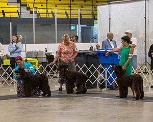 20250802-0245.jpg